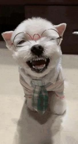 23:18:40 GMT-0500 (EST)