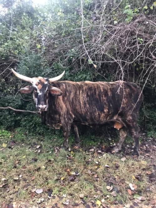 08:34:06 GMT-0600 (CST).image