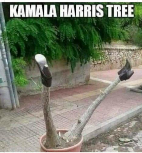 23:42:05 GMT-0800 (PST)