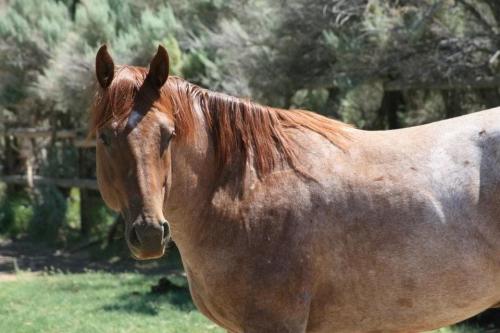 21:01:51 GMT-0800 (PST).image