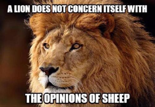 19:49:40 GMT+0000 (GMT).image