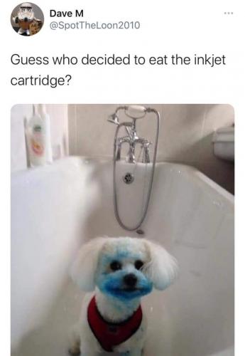 19:30:05 GMT-0500 (EST)