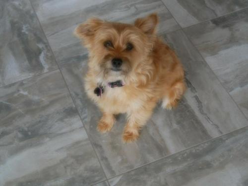 12:02:07 GMT-0800 (PST)