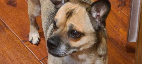 08:59:38 GMT-0800 (PST)