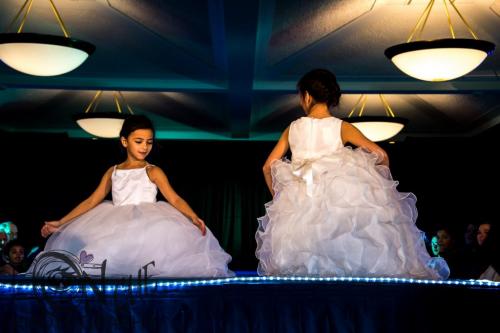 2017 ND Bridal Show00161