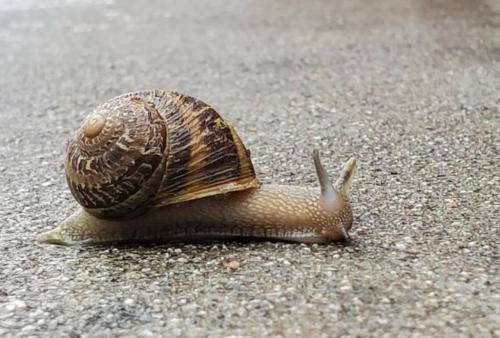 15:06:59 GMT-0800 (PST)