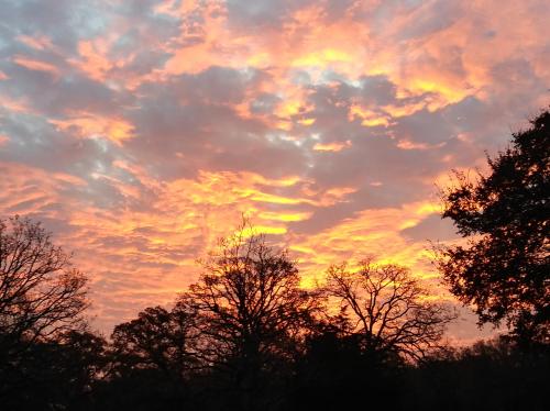 06:23:49 GMT-0600 (CST).image