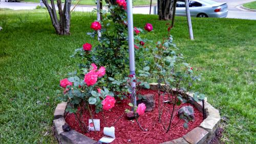 result_1604980830379