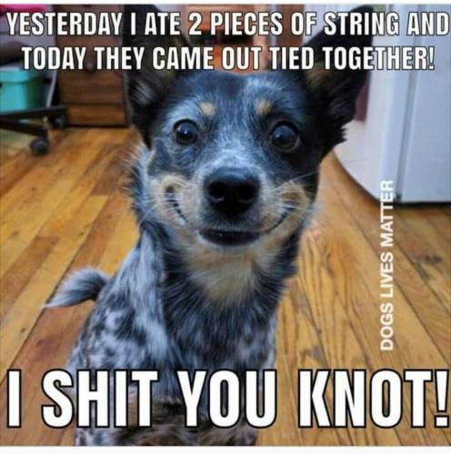 tempFile_2019-03-25-08-09-24