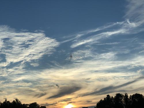 CB6137B8-FB03-4241-B1C6-6F59A73AF9D9