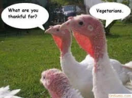 12:08:27 GMT-0600 (CST)