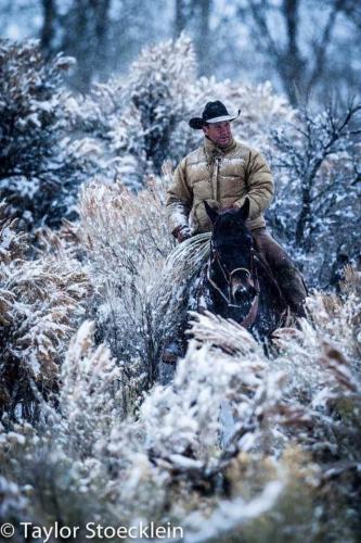 125539130_1214847095567589_8960277195862812391_n