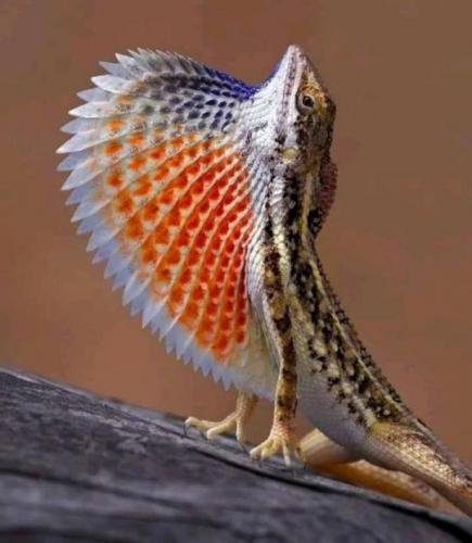 tumblr_278c7cd9cc9acc41706a234bc53e0e49_af60f70f_540