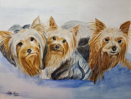 21:23:59 GMT-0600 (CST)