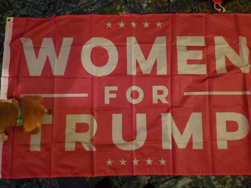 19:38:20 GMT-0600 (CST)