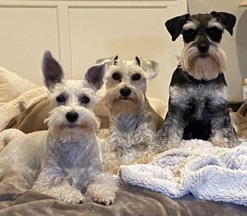 22:15:02 GMT-0600 (CST).image