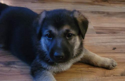 received_777389379525258_kindlephoto-99329578