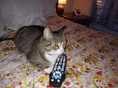 65884214_10157359444141550_8664299970750316544_o