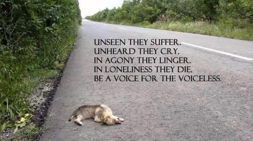 15:37:40 GMT-0500 (EST)