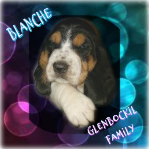 49709879-1217451155076130-518835841812922368-n