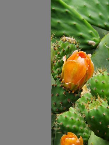 16:01:18 GMT-0800 (PST)