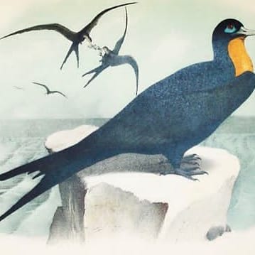 21:44:44 GMT+0100 (WAT)