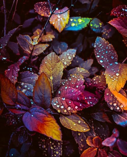 20:37:00 GMT-0500 (EST)