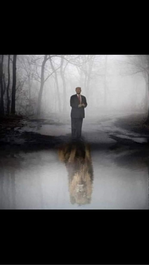 19:25:36 GMT-0600 (CST).image