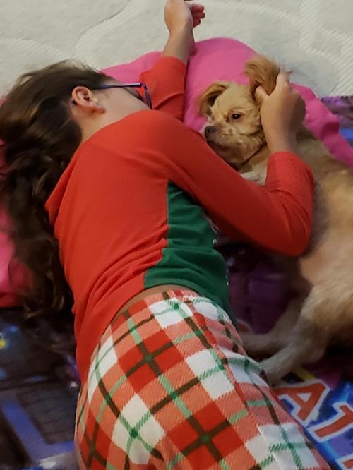 20:44:52 GMT-0600 (CST)