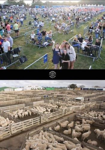 20:15:47 GMT-0500 (EST)