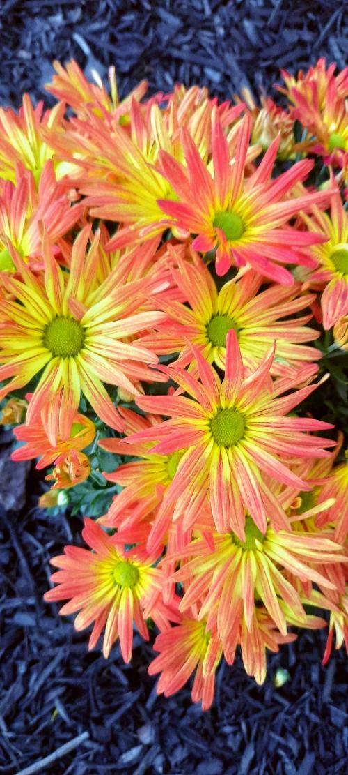 06:20:32 GMT-0500 (EST)