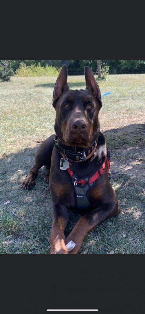 16:55:23 GMT-0500 (EST).image