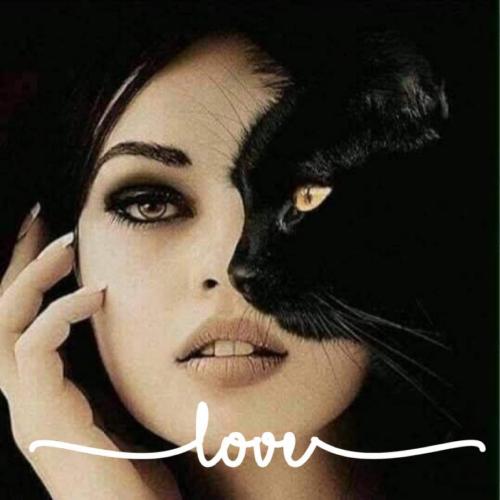 FB_IMG_1605012005494