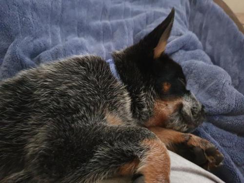 14:47:13 GMT+1100 (AEDT)