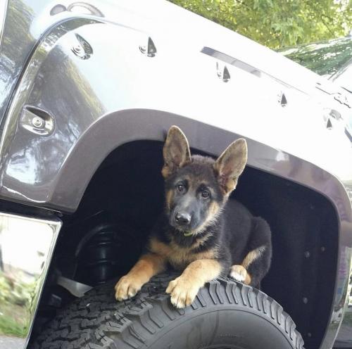 10:12:12 GMT-0500 (EST).image