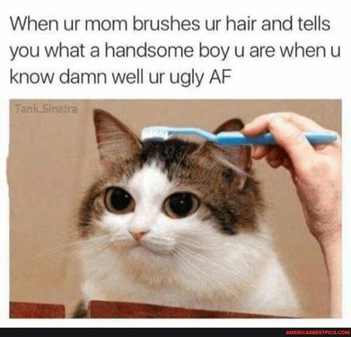 20:46:24 GMT-0600 (CST).image