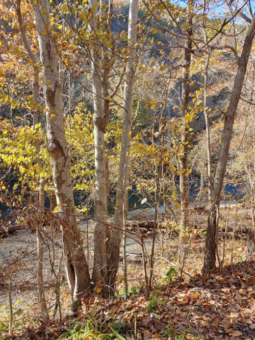 11:35:31 GMT-0500 (EST)