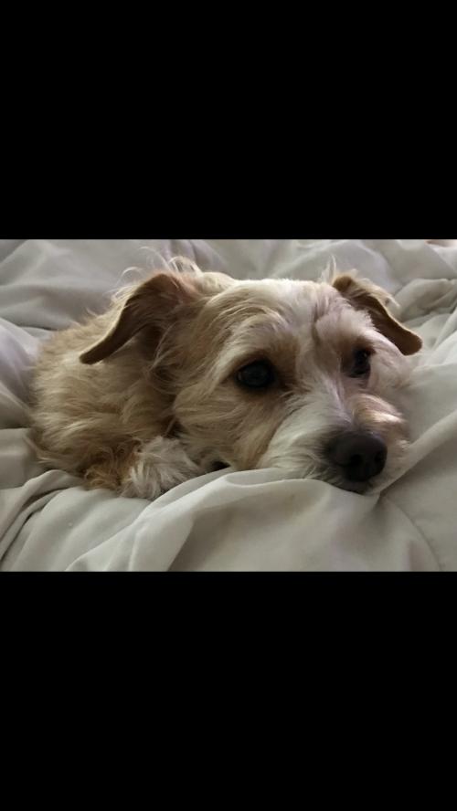 10:26:44 GMT-0600 (CST).image