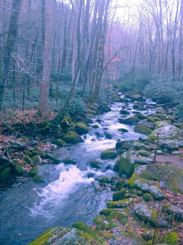 12:38:14 GMT-0500 (EST)