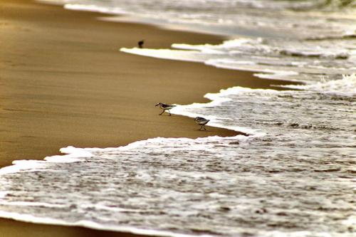 12:55:03 GMT-0500 (EST).image