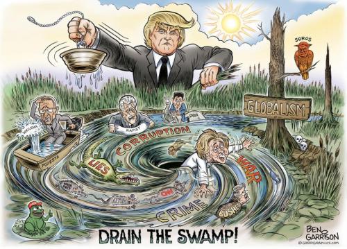 DRAIN THE SWAMP