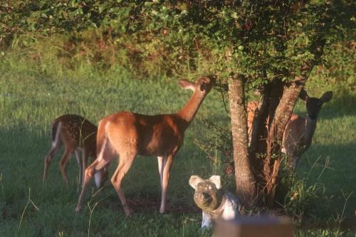 09:54:35 GMT-0600 (CST)