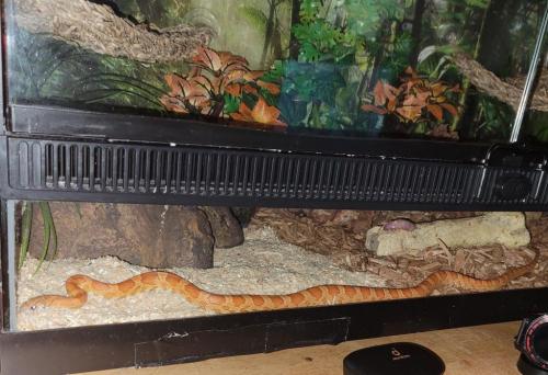 21:13:09 GMT-0500 (EST)