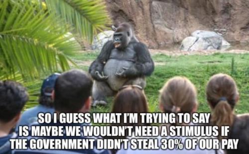 C94DE01C-58A2-492E-AEF5-5F7F5FB09256-11571-00000792DD7A614A