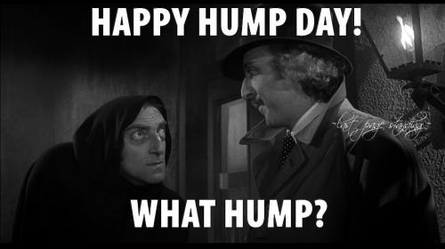 000 GOOD MORNING WEDNESDAY ..WHAT HUMP