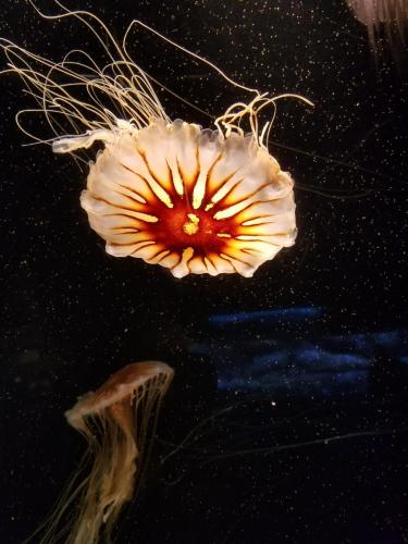 15:38:28 GMT-0800 (PST)