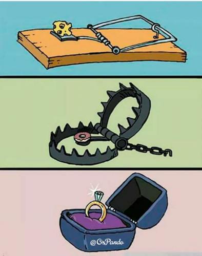 Say no more ? @OsPando