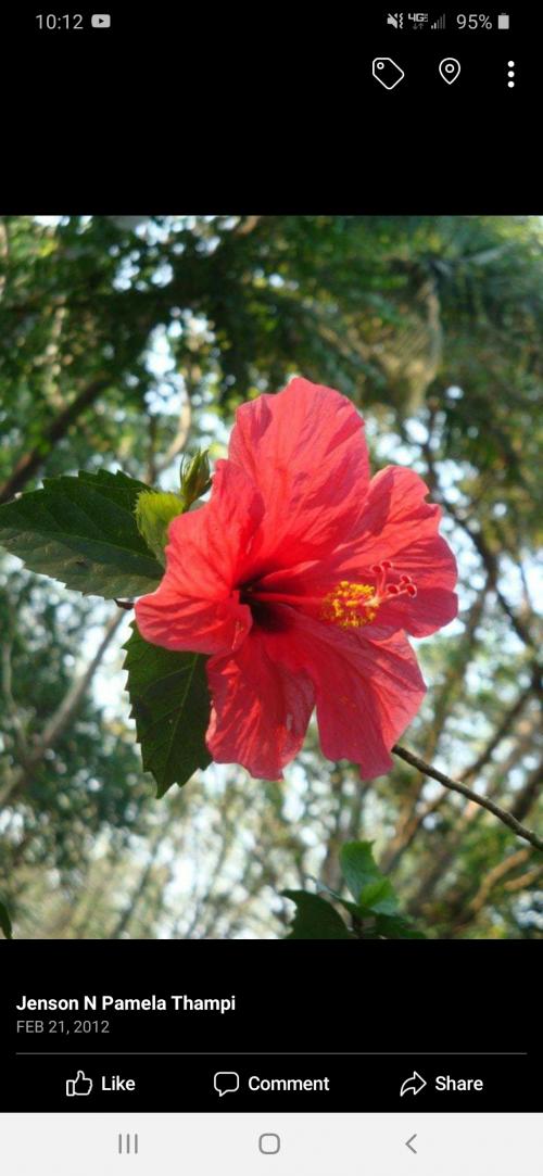 10:02:02 GMT-0600 (CST)