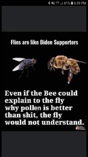 22:14:15 GMT-0600 (CST)