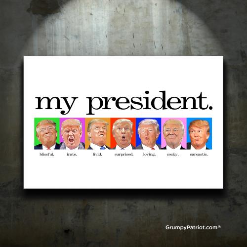 GALLERY_Layer Comp 40